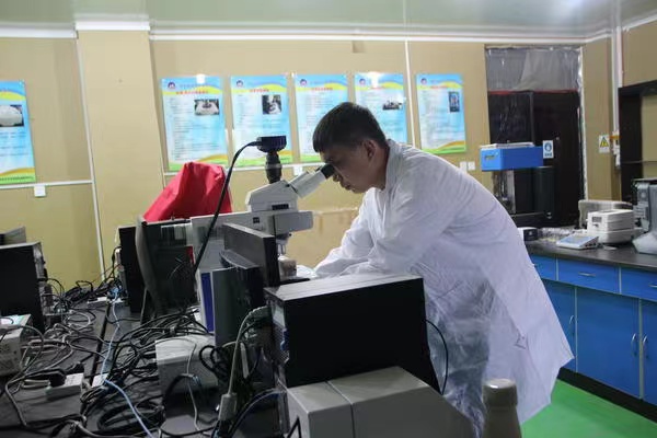 二十大豫出彩 复兴有我丨河南大学生：做新时代红旗渠精神传承者 勇攀高峰