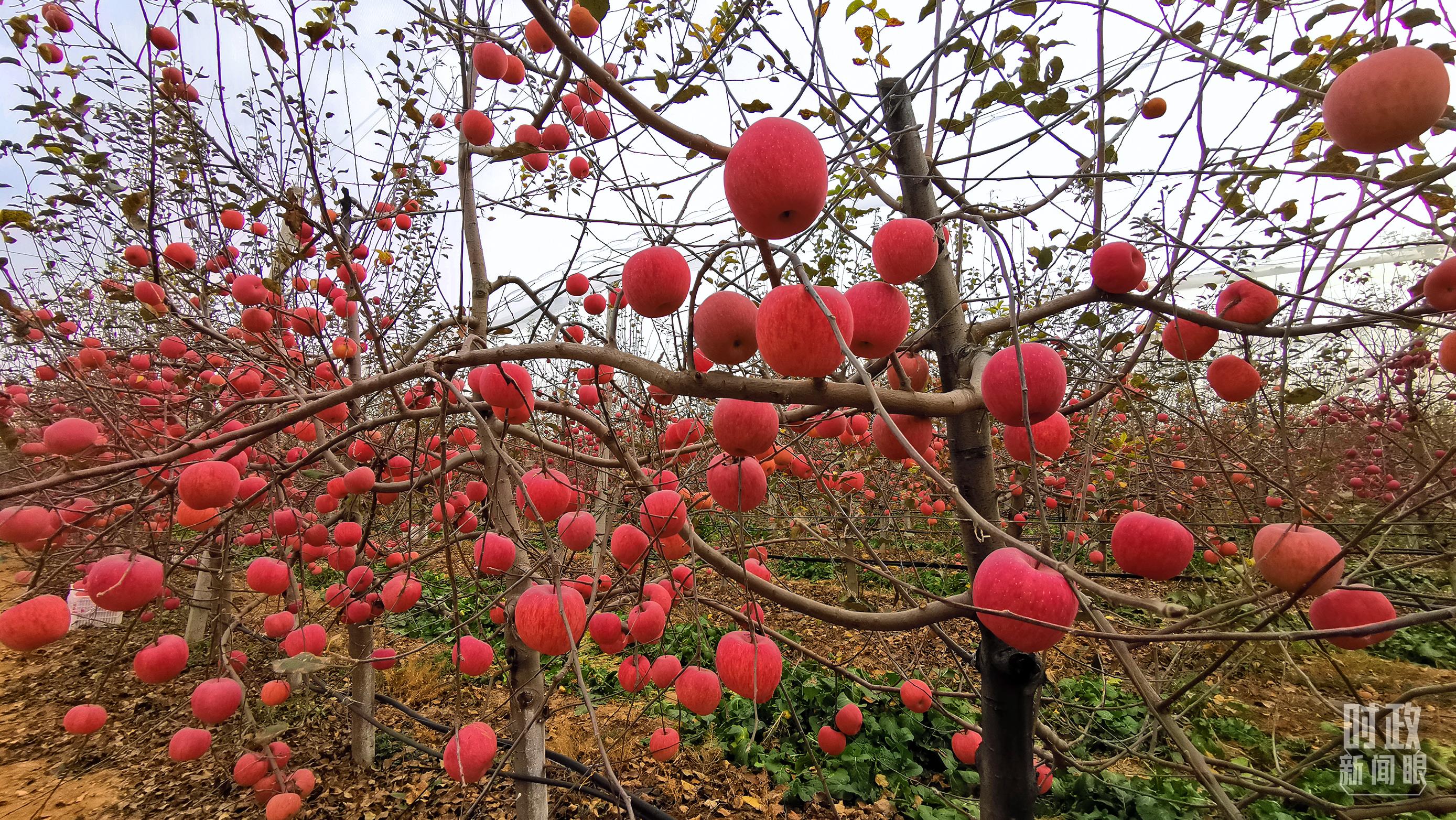 时政新闻眼丨党的二十大后首次国内考察，习近平为什么来到这两个地方？