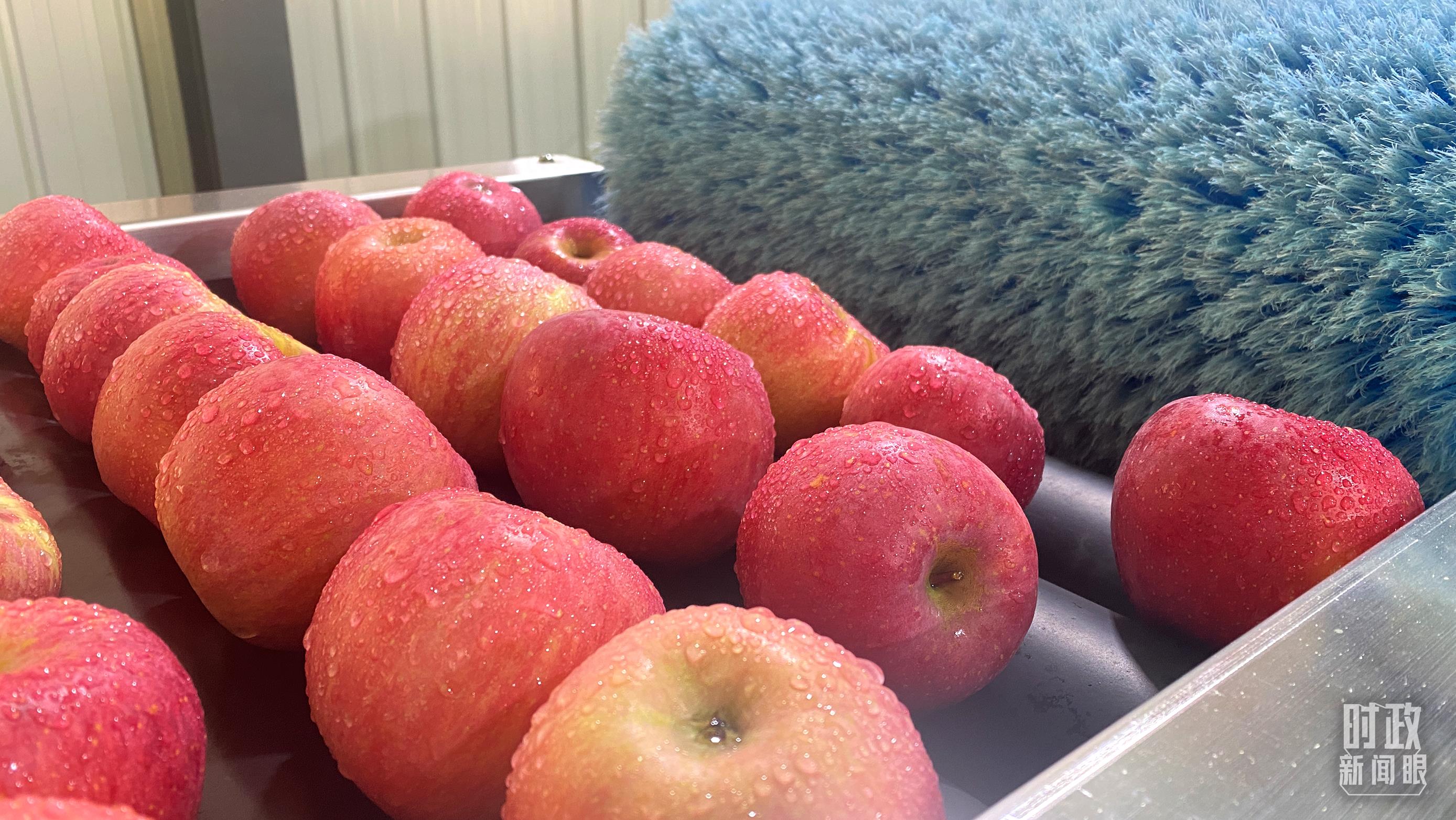 时政新闻眼丨党的二十大后首次国内考察，习近平为什么来到这两个地方？