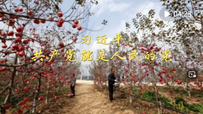 第1视点｜习近平：共产党就是人民的党