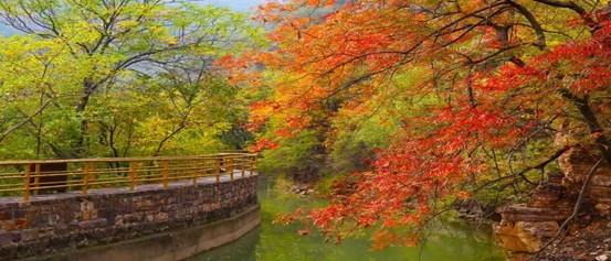 特别策划丨高考试卷中的河南（安阳篇）：红旗渠