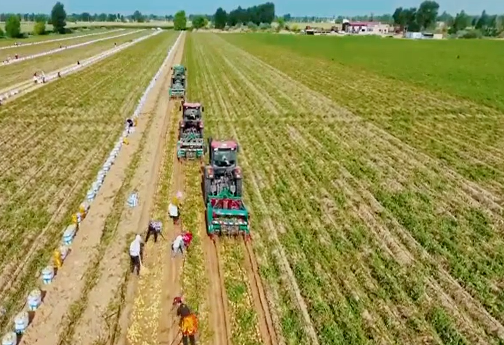 新征程号角丨想人民之所想 行人民之所嘱