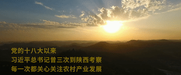 第1视点｜习近平：共产党就是人民的党