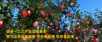 第1视点｜习近平：共产党就是人民的党