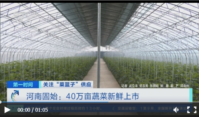 关注“菜篮子”供应 河南固始：40万亩蔬菜新鲜上市