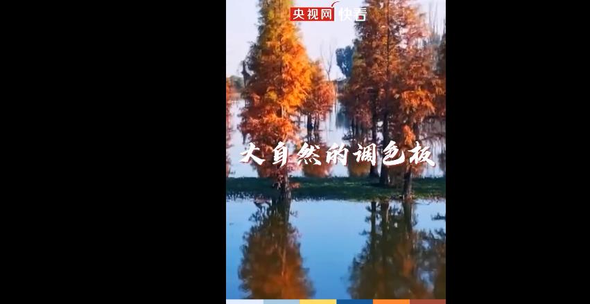 感受中国湿地色彩之美