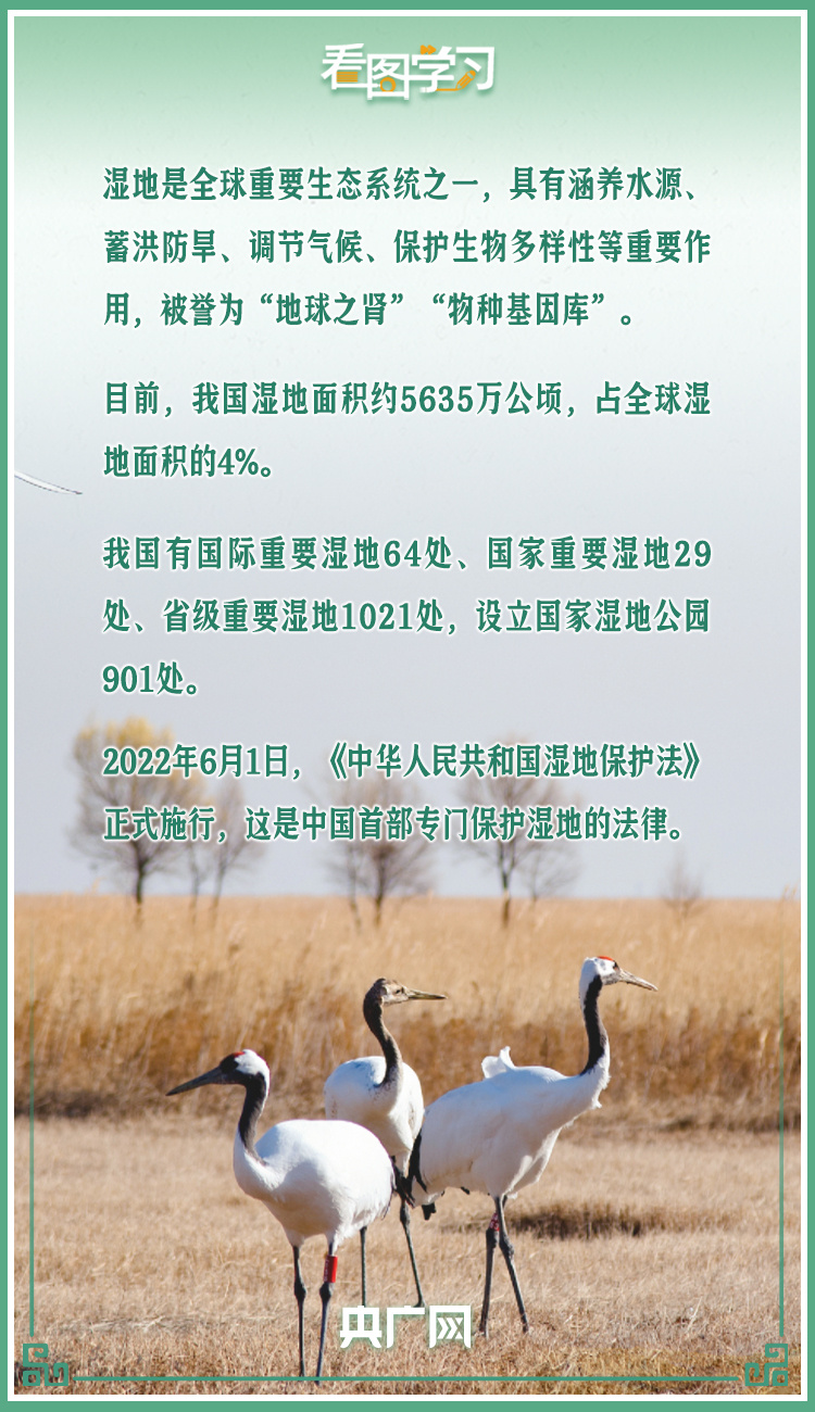  看图学习丨让湿地公园成为人民群众共享的绿色空间