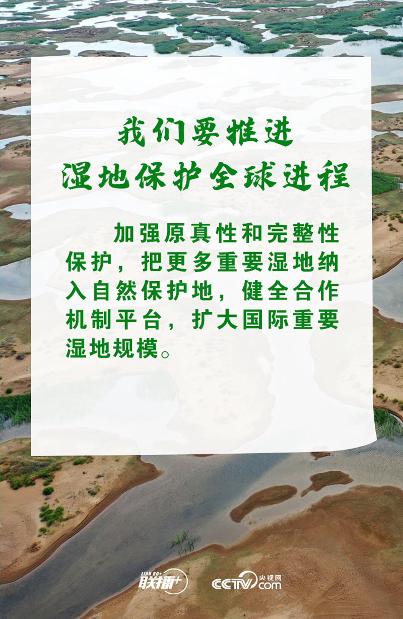 联播+丨推进湿地保护全球行动 习近平诠释中国担当 