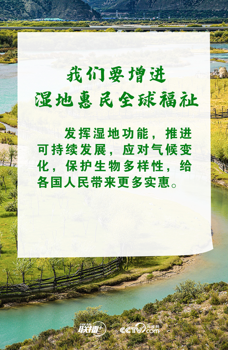 联播+丨推进湿地保护全球行动 习近平诠释中国担当 