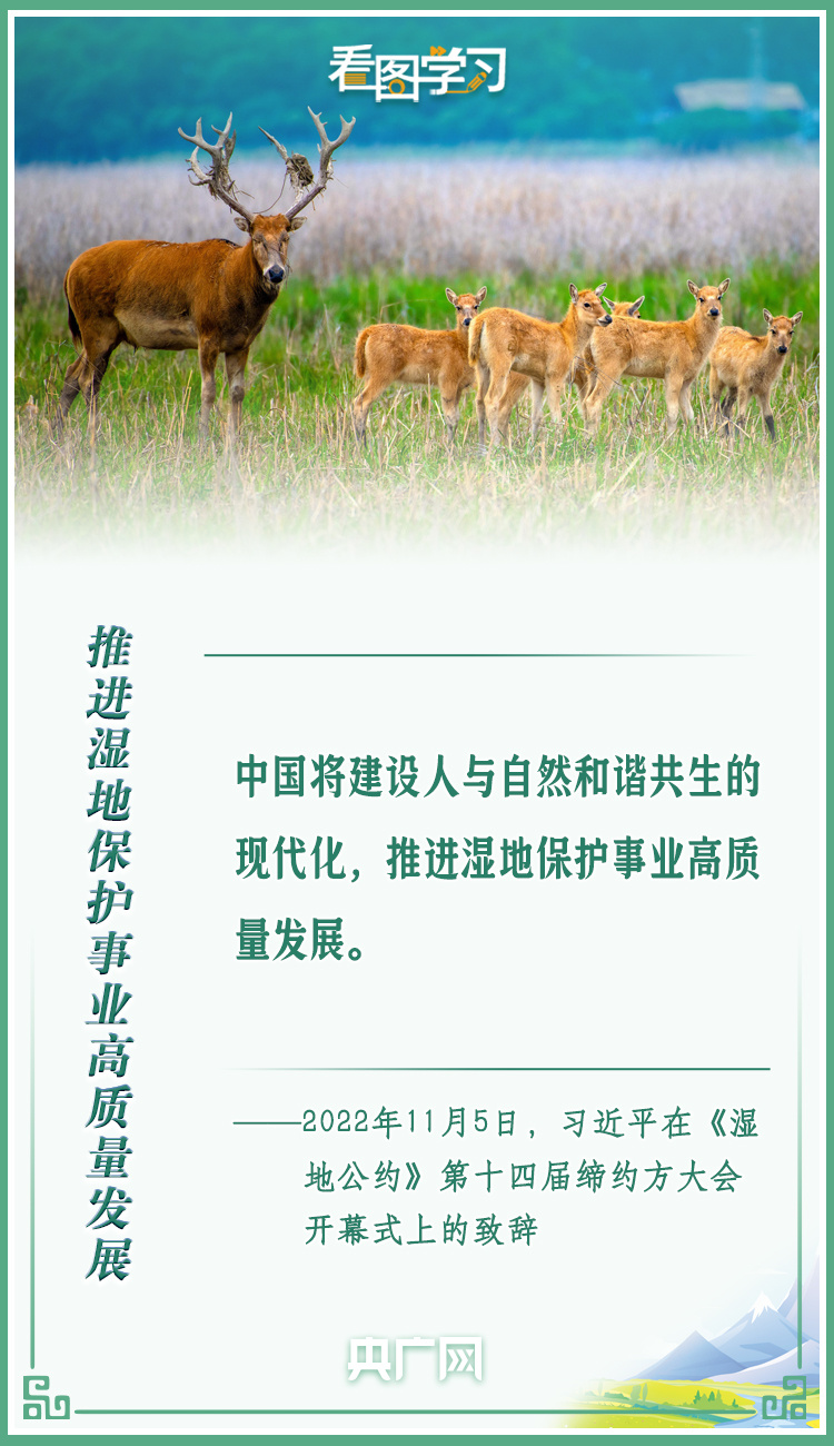 看图学习丨共同努力谱写全球湿地保护新篇章