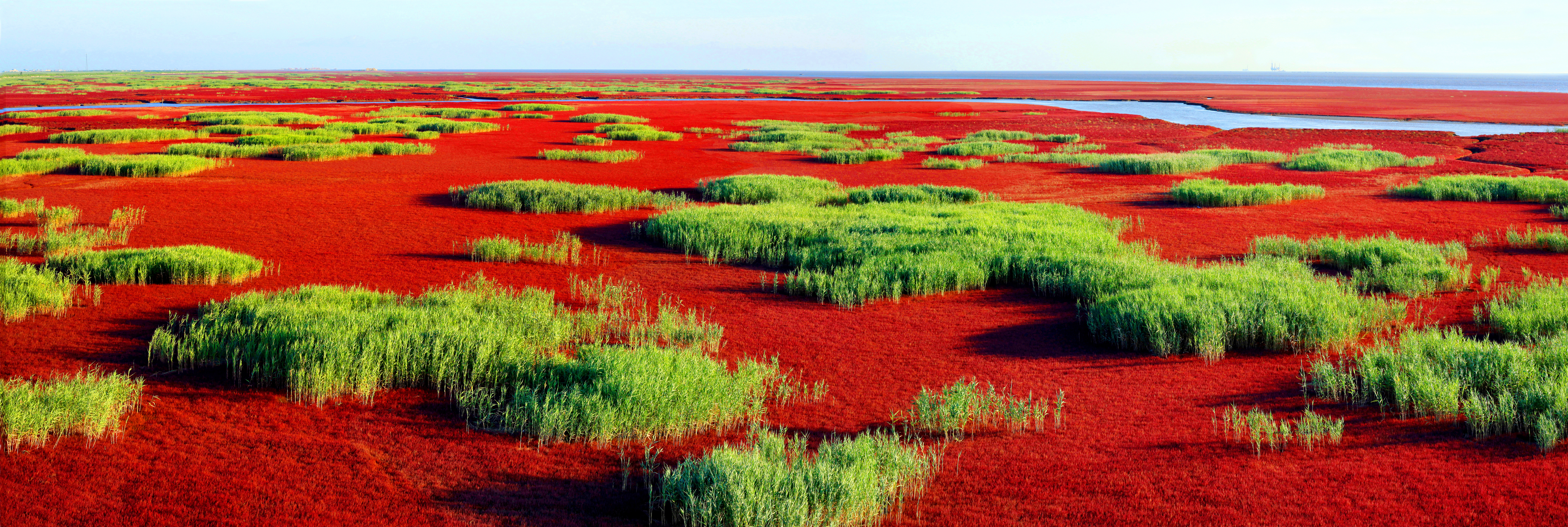 新华全媒+｜在水一方 大美湿地