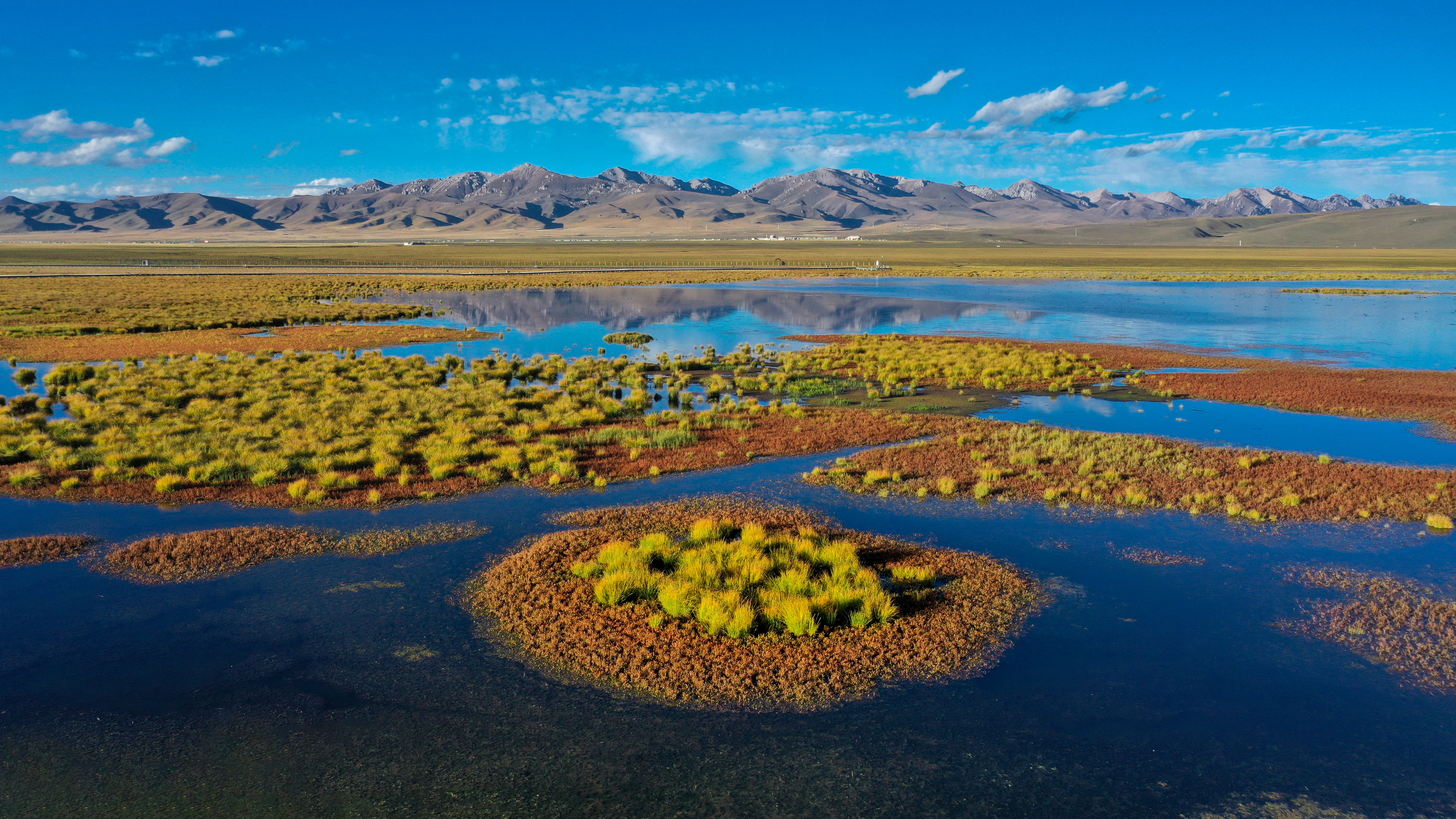 新华全媒+｜在水一方 大美湿地