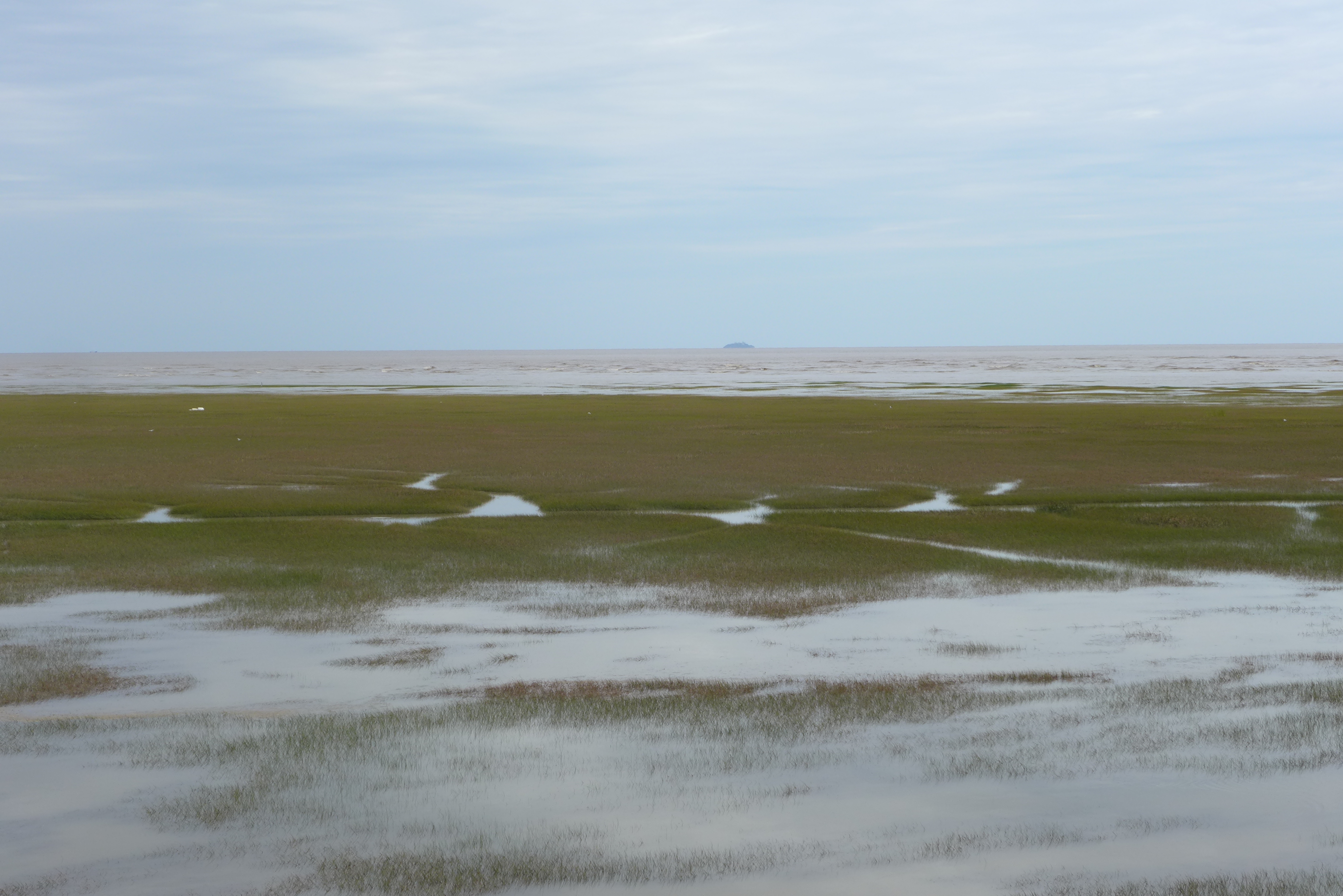 新华全媒+｜在水一方 大美湿地