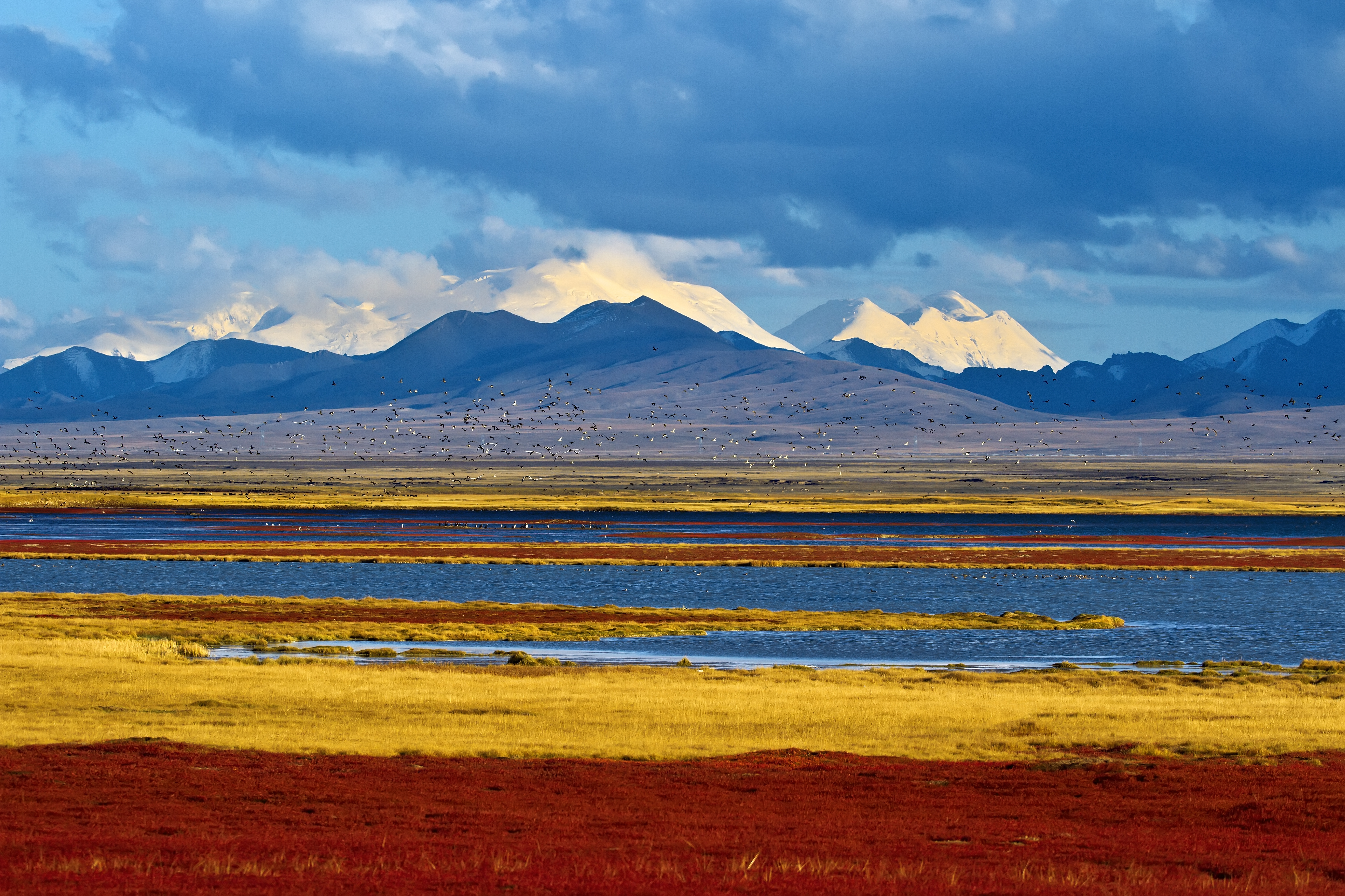 新华全媒+｜在水一方 大美湿地