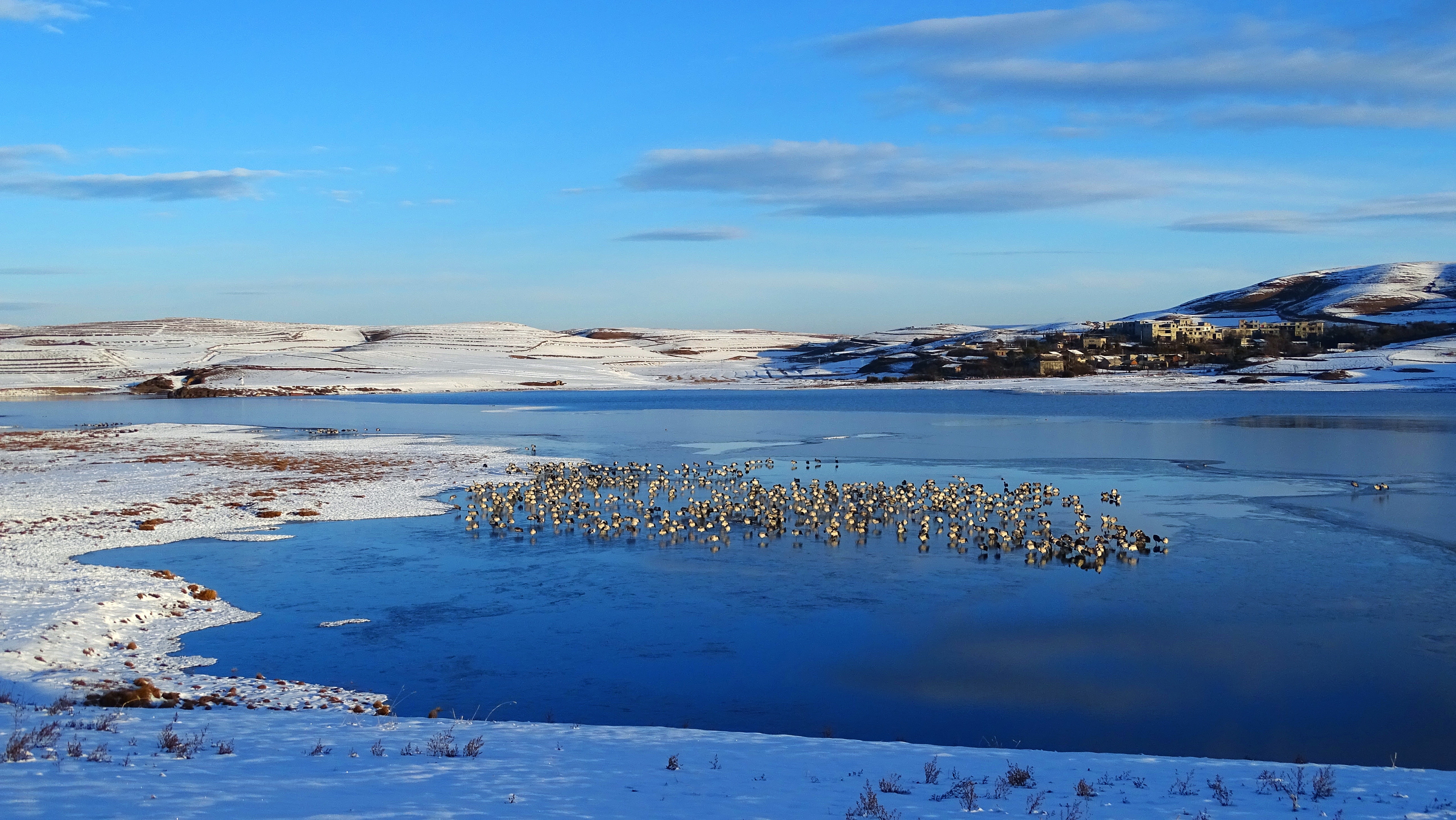 新华全媒+｜在水一方 大美湿地