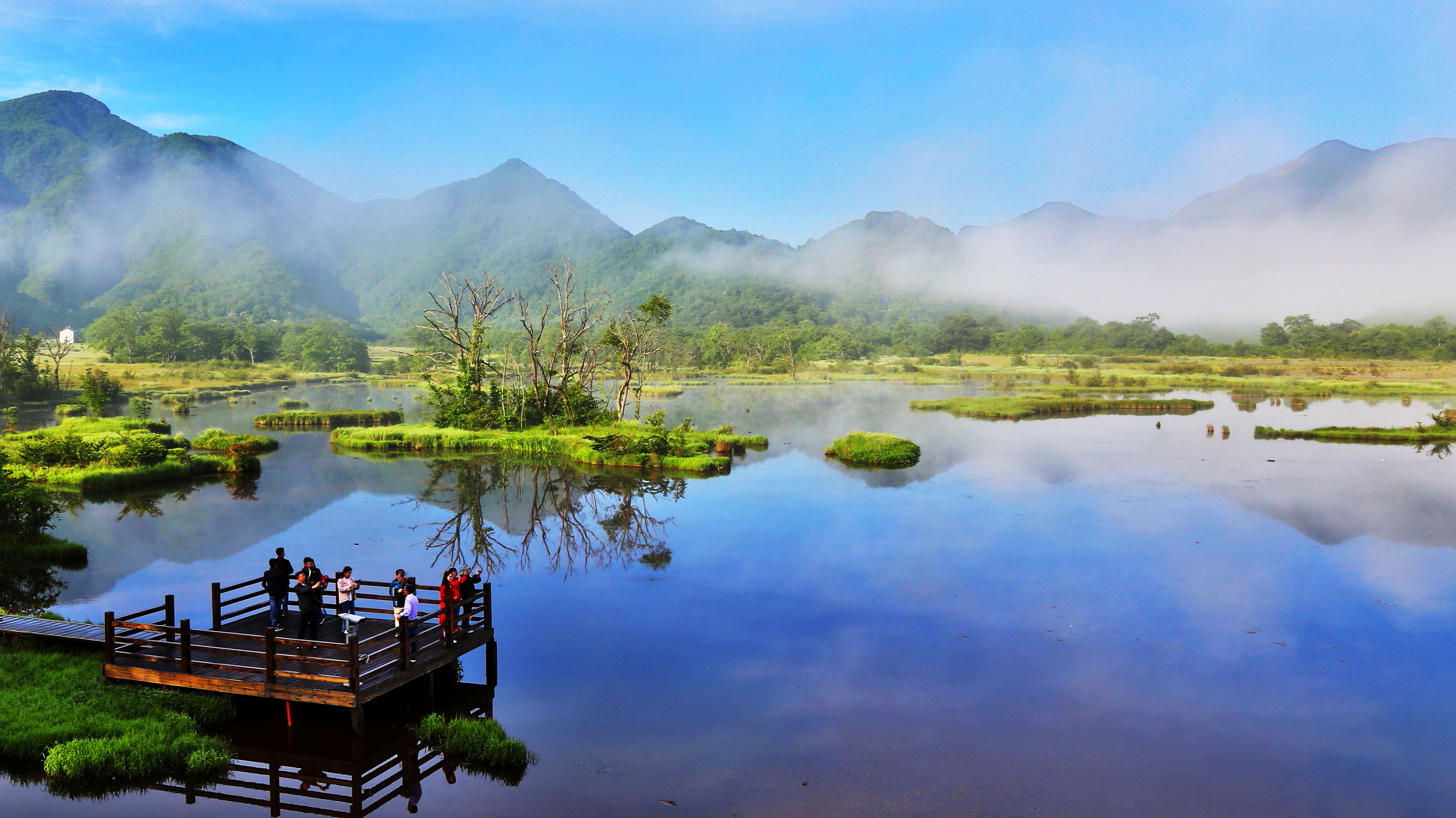 新华全媒+｜在水一方 大美湿地