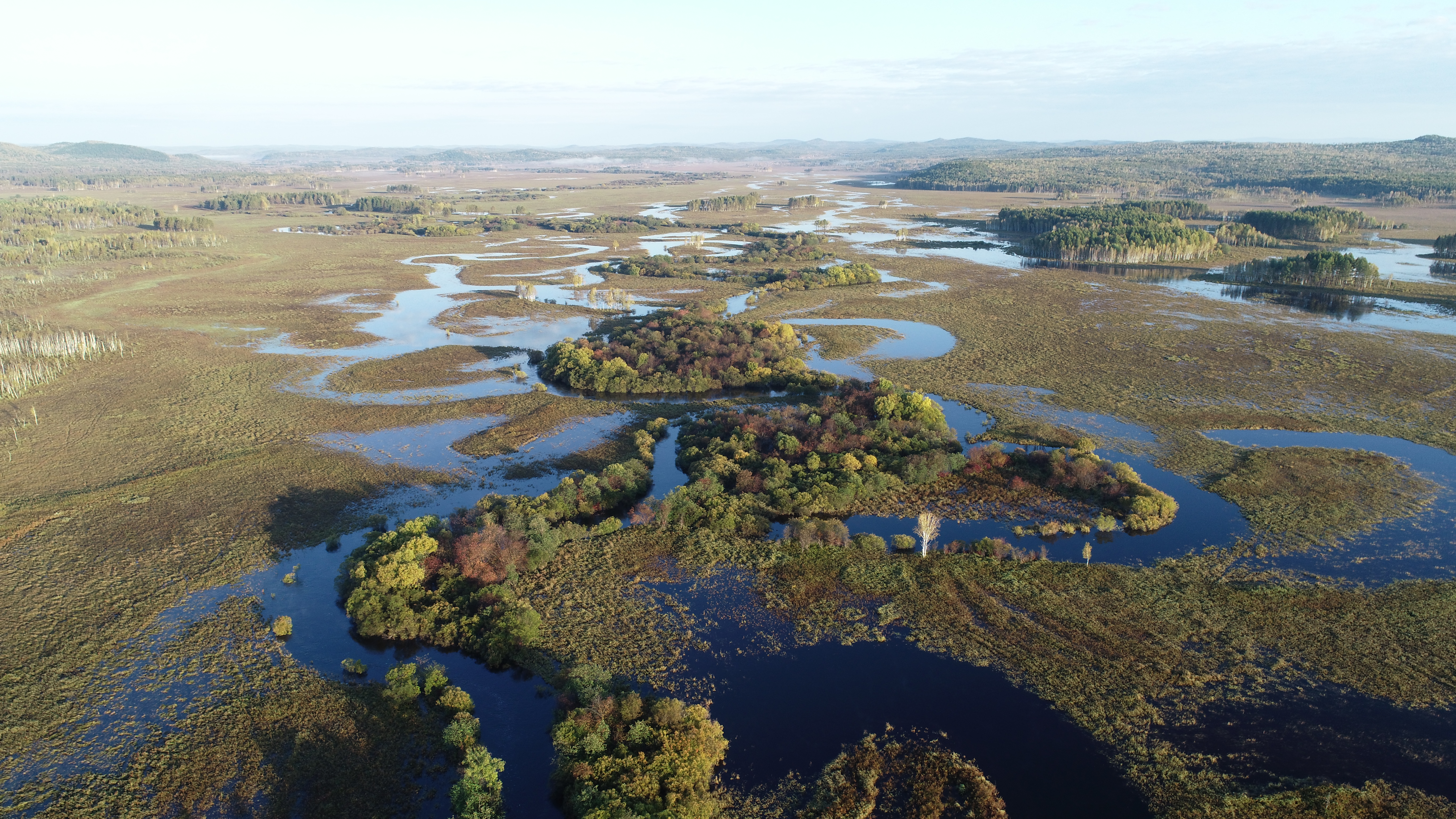 新华全媒+｜在水一方 大美湿地