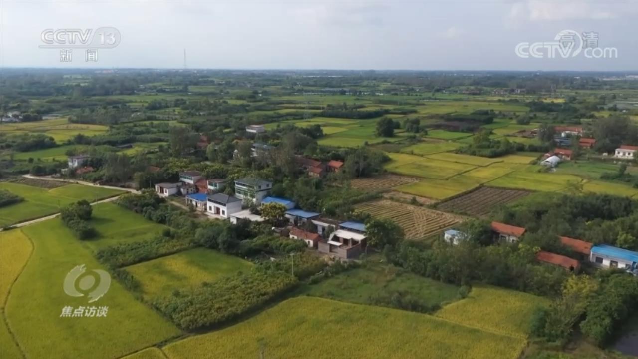 焦点访谈：党代表回基层 共创美好生活