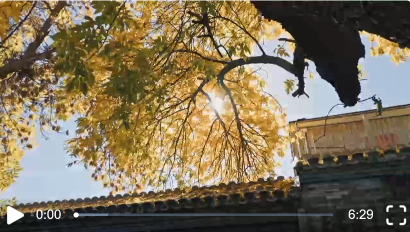 再出发｜建功立业正当时