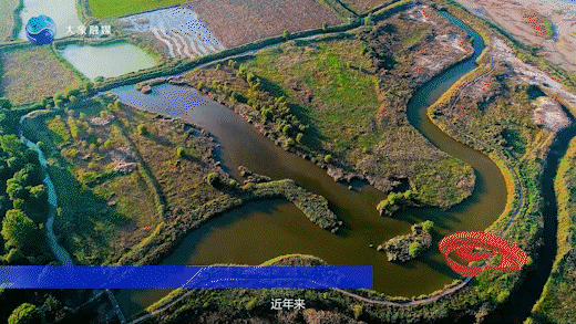 神话新传|古有大禹治水,今有“会飞的大熊猫”安家河南