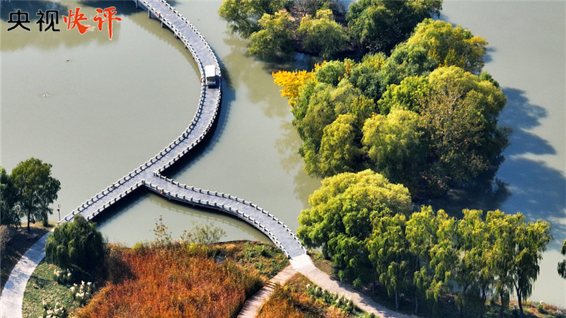 【央视快评】谱写全球湿地保护新篇章 