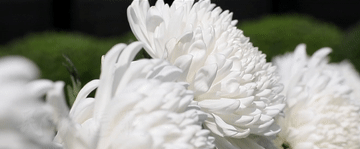 微视频｜勿忘！自强！