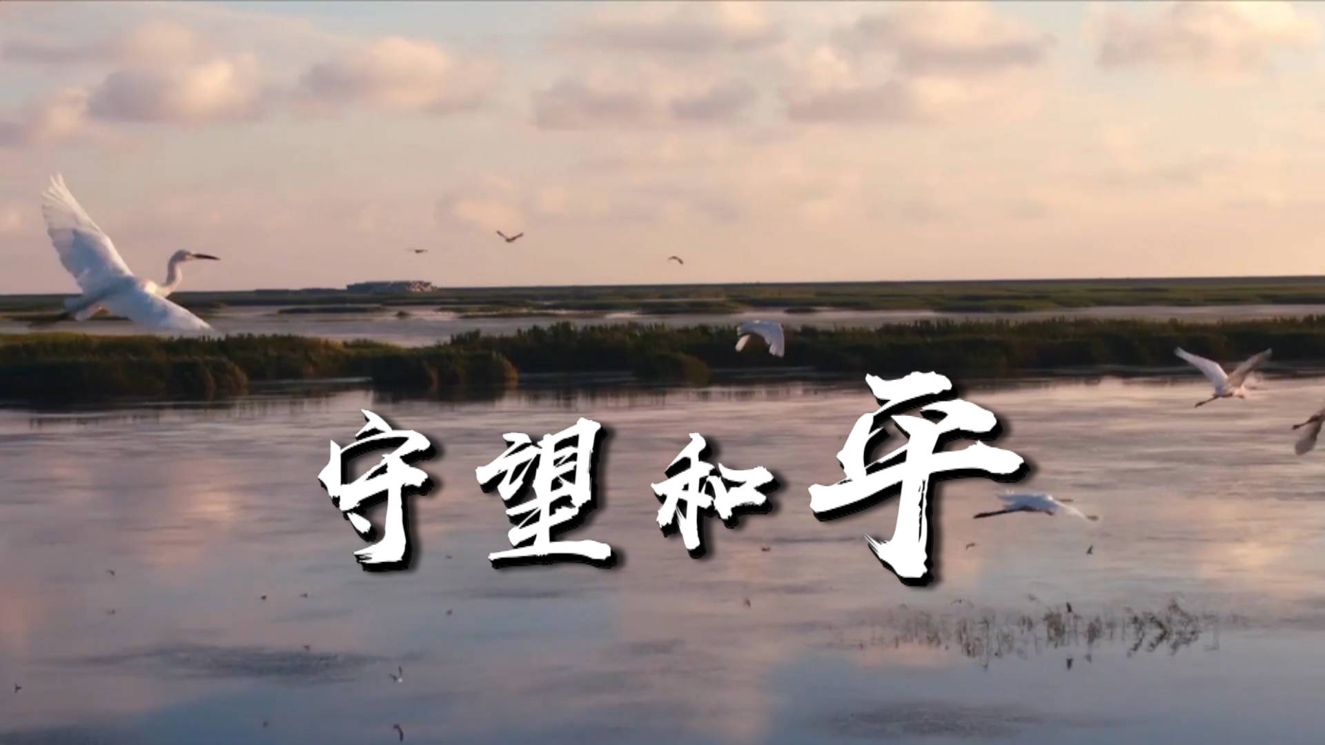 微视频：守望和平