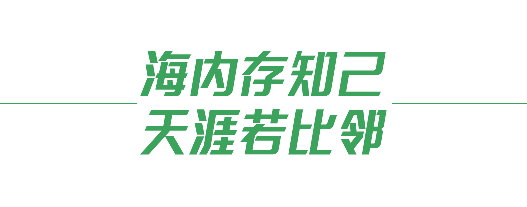 共建美美与共的文明百花园