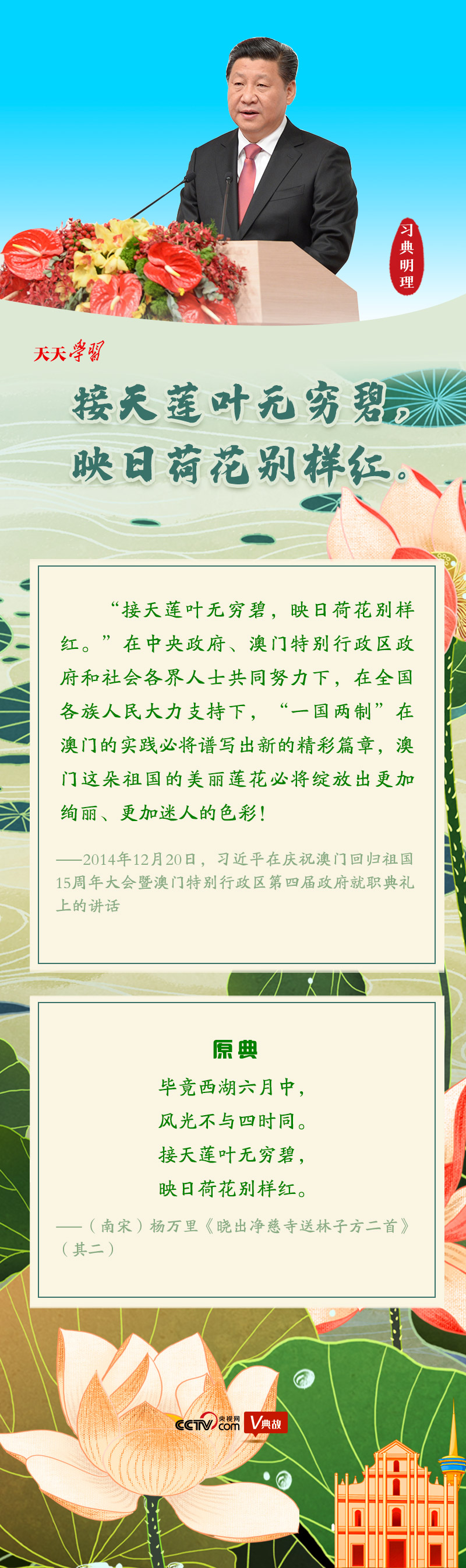 习典明理|接天莲叶无穷碧 映日荷花别样红