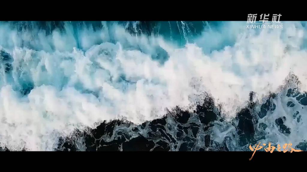 五集微政论片《必由之路》第三集《力量之源》