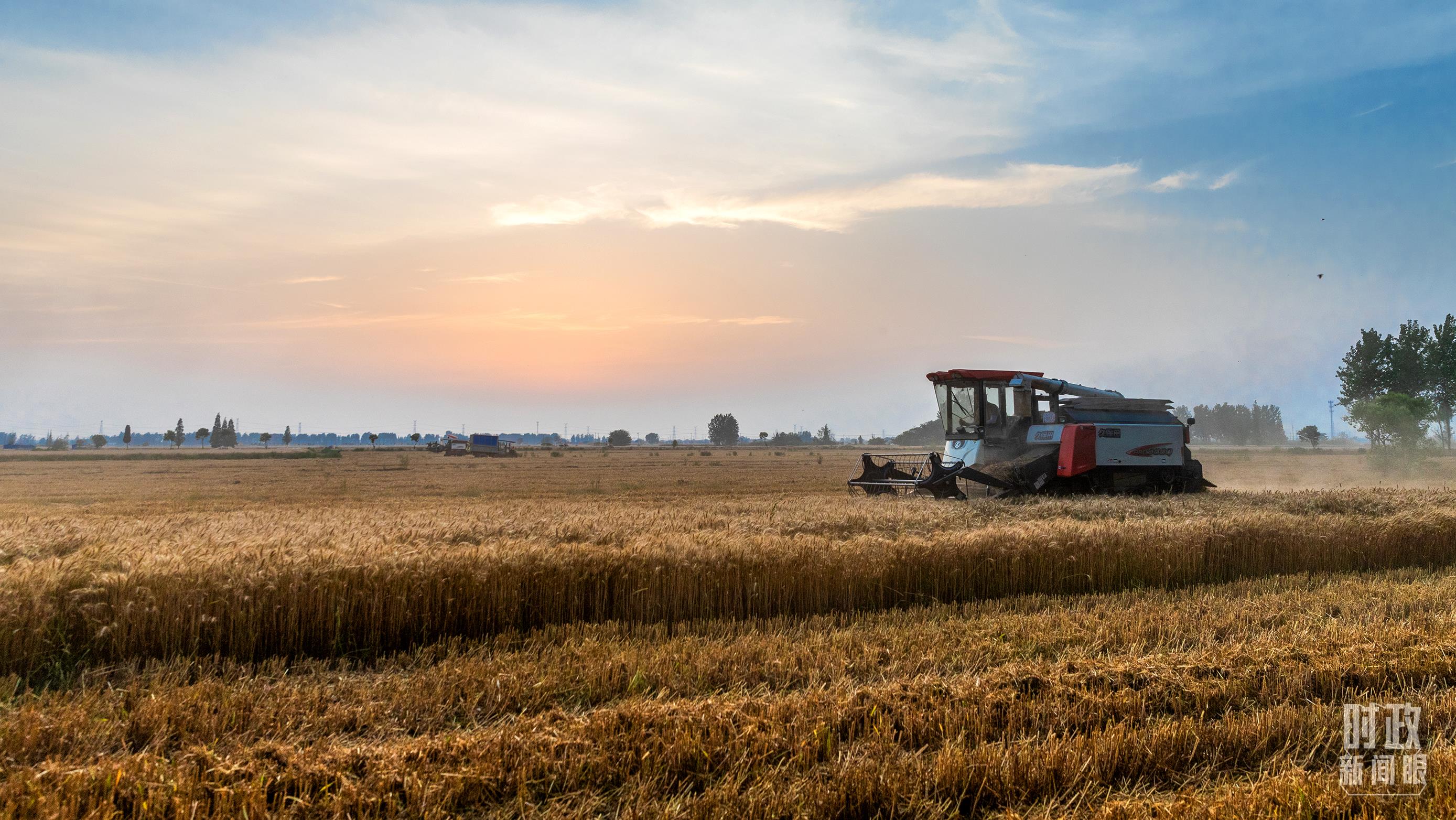 时政新闻眼丨在中央农村工作会议上,习近平这样部署建设农业强国