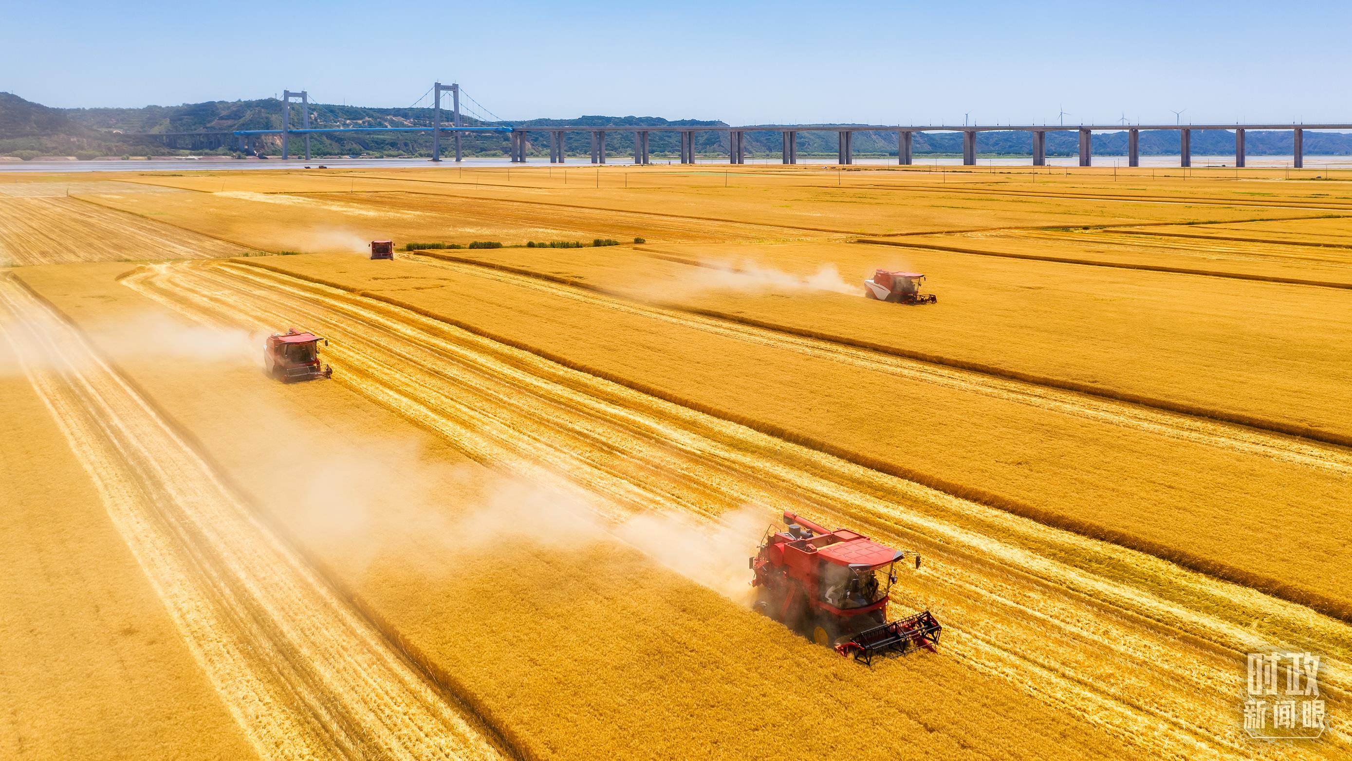 时政新闻眼丨在中央农村工作会议上,习近平这样部署建设农业强国