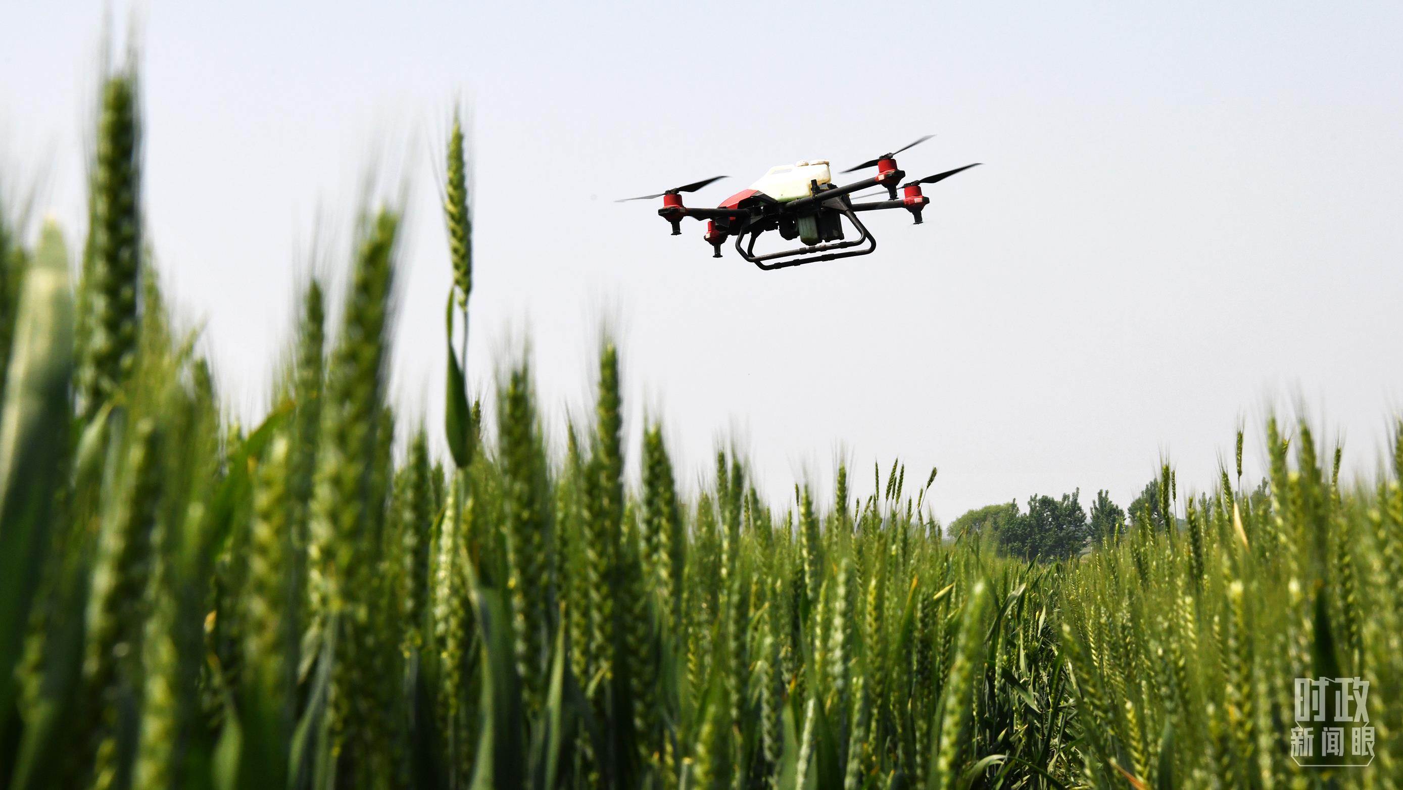 时政新闻眼丨在中央农村工作会议上,习近平这样部署建设农业强国