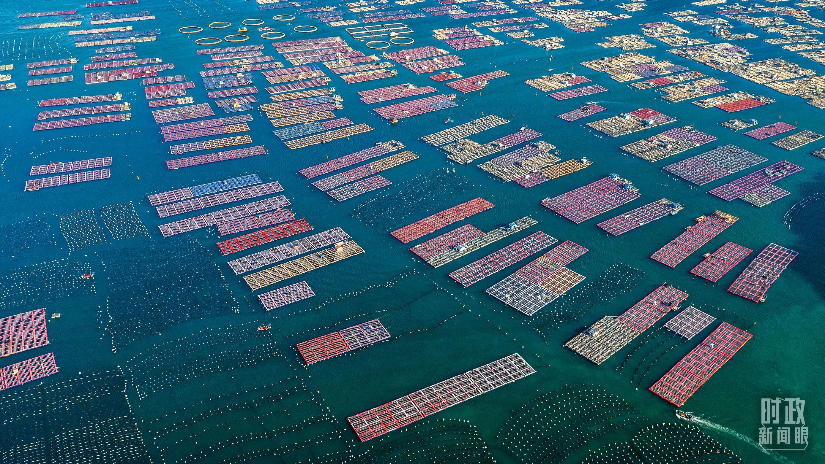 时政新闻眼丨在中央农村工作会议上,习近平这样部署建设农业强国