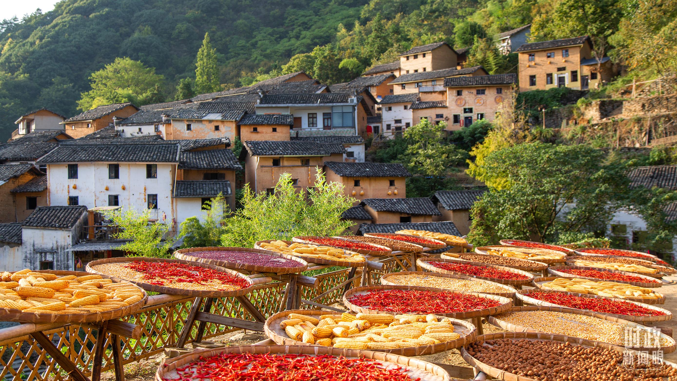 时政新闻眼丨在中央农村工作会议上,习近平这样部署建设农业强国