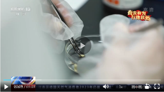 奋发有为 行稳致远·经济大省挑大梁丨河南：一二三产业协调并进 中部大省再造经济新优势