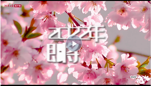  2022记忆｜河南颜色