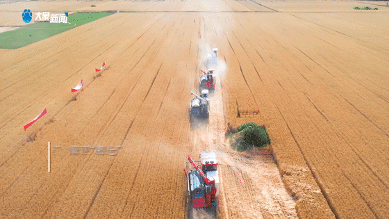 致2022！我们是这样的河南