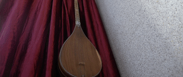 步履｜团结之路