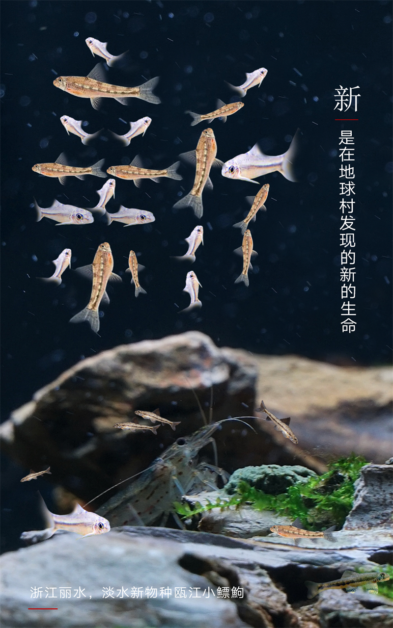 2023,上“新”了