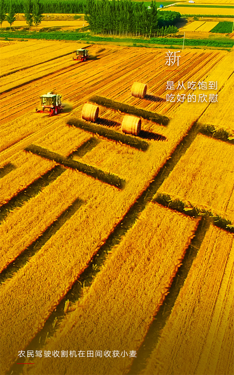 2023,上“新”了