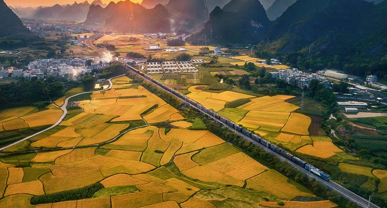 新年特稿丨力量源于团结！众志成城就没有干不成的事