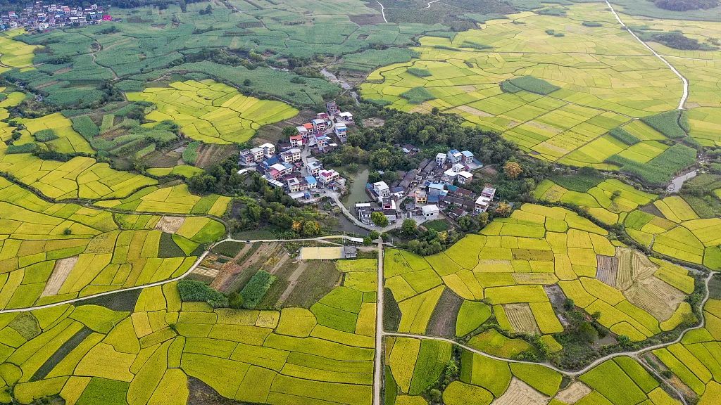 新年特稿丨奋斗创造奇迹！把宏伟目标变为美好现实