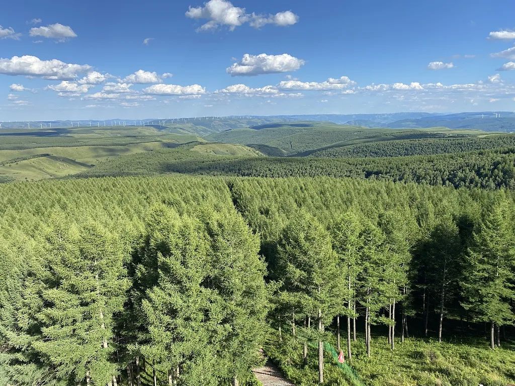 新年特稿丨奋斗创造奇迹！把宏伟目标变为美好现实