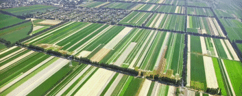 微视频｜新年贺词里的人民情怀
