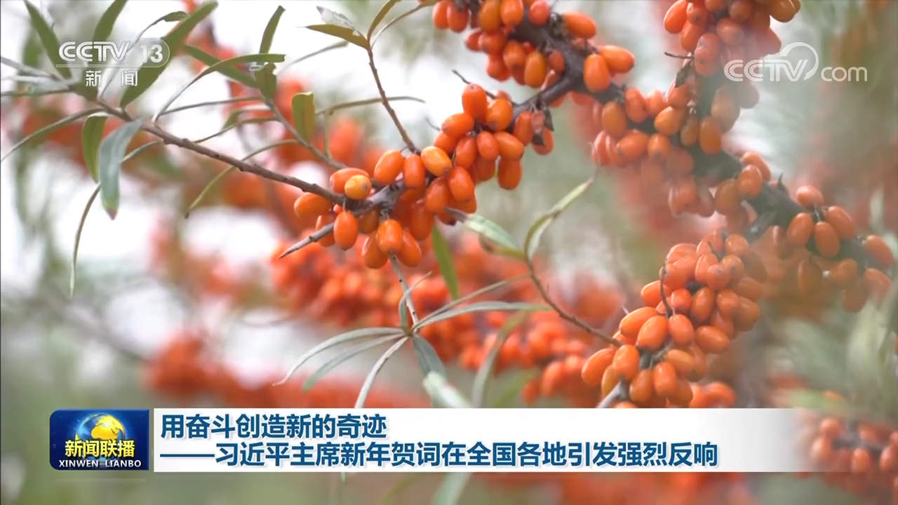 用奋斗创造新的奇迹——习近平主席新年贺词在全国各地引发强烈反响