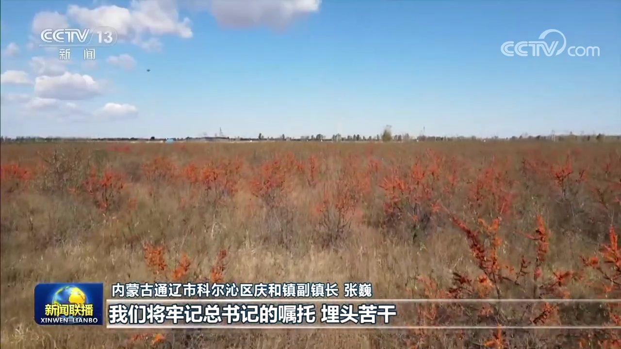 用奋斗创造新的奇迹——习近平主席新年贺词在全国各地引发强烈反响