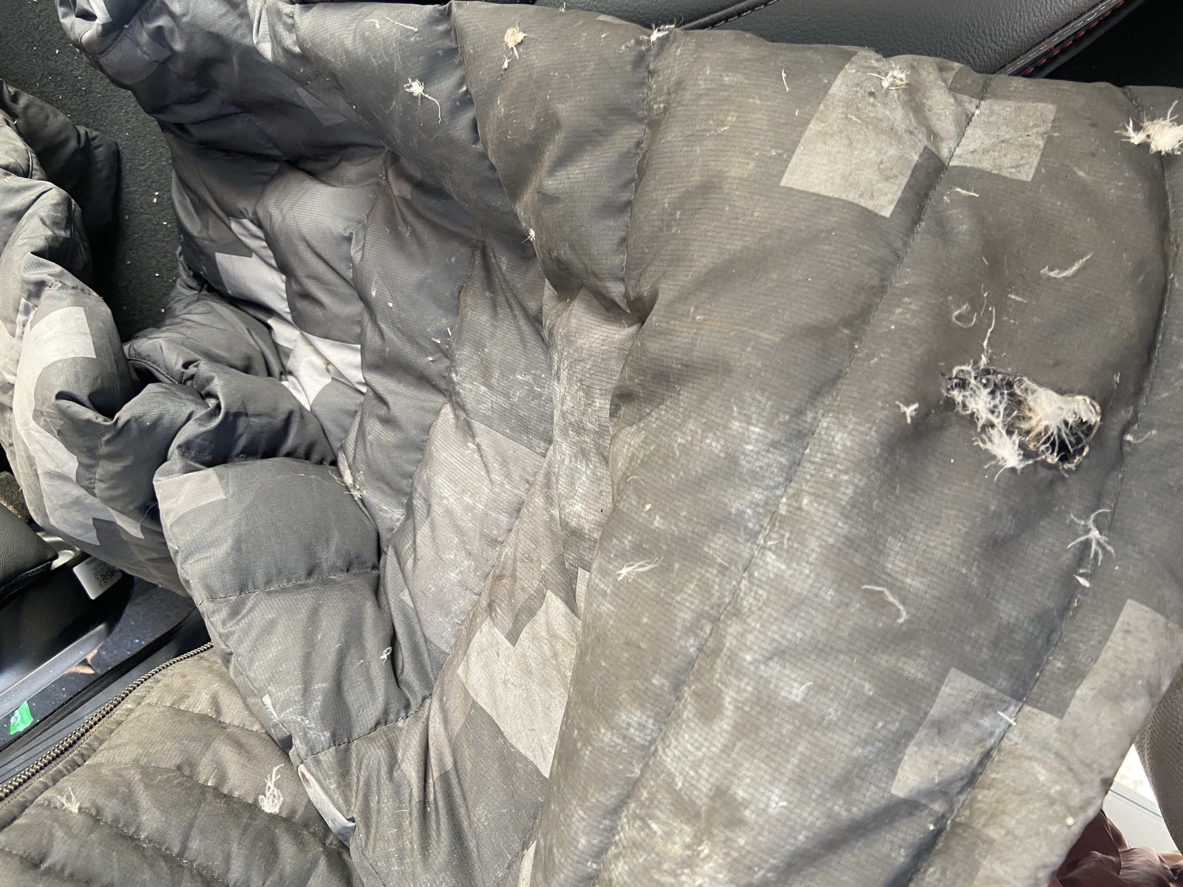 芦苇丛着火！这名河南籍休假军人脱下外套冲了上去不停扑打………