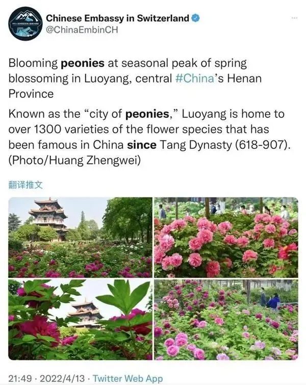 热议焦点：全新版天生一对电影，点击下载开始体验 (全城热议)