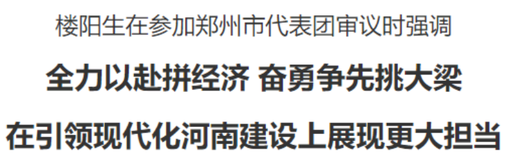 【视频】楼阳生参加郑州市代表团审议